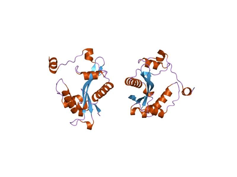 File:PDB 2g3t EBI.jpg