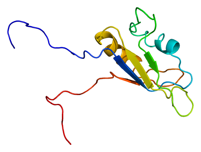 File:Protein EWSR1 PDB 2cpe.png