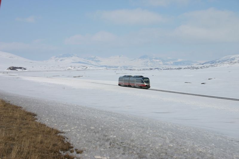 File:Saltfjellet.jpg