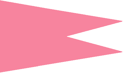 File:Surgana State flag.png