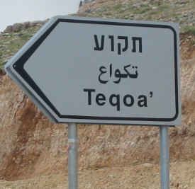 File:Tekoa1.jpg