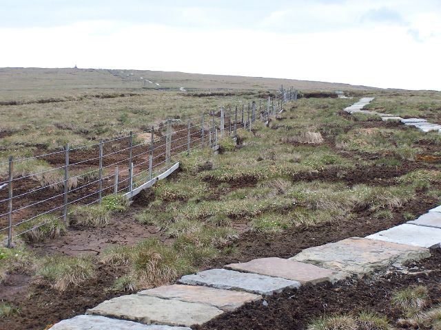 File:The Cheviot Summit.jpg