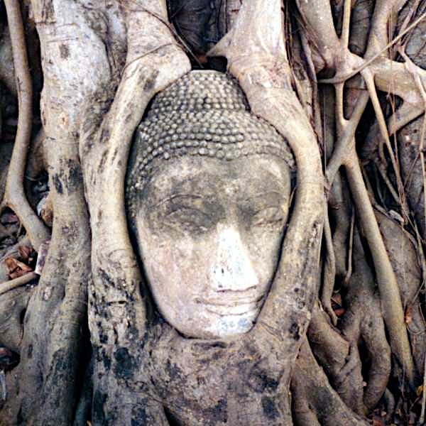 File:Ayutthaya buddha.jpg