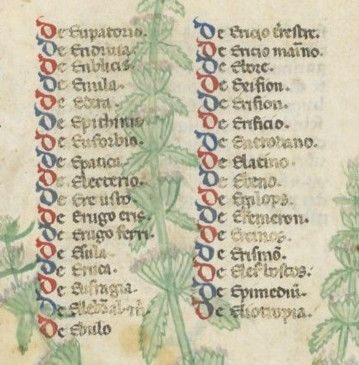 File:BnF Latin 6823, f.059r (cropped).jpg