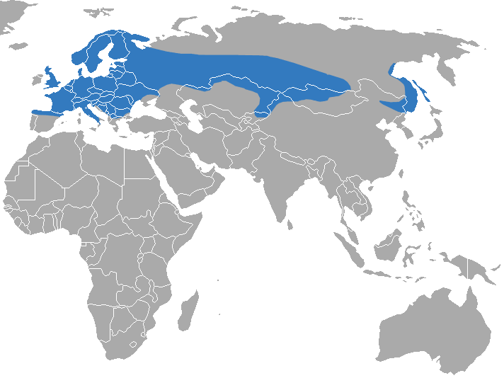 File:Eurasian Water Shrew area.png