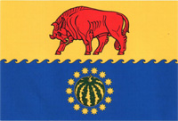 File:Flag of Bykovsky rayon (Volgograd oblast).png