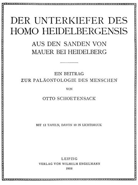 File:Homo heidelbergensis (Erstbeschreibung) 01.jpg