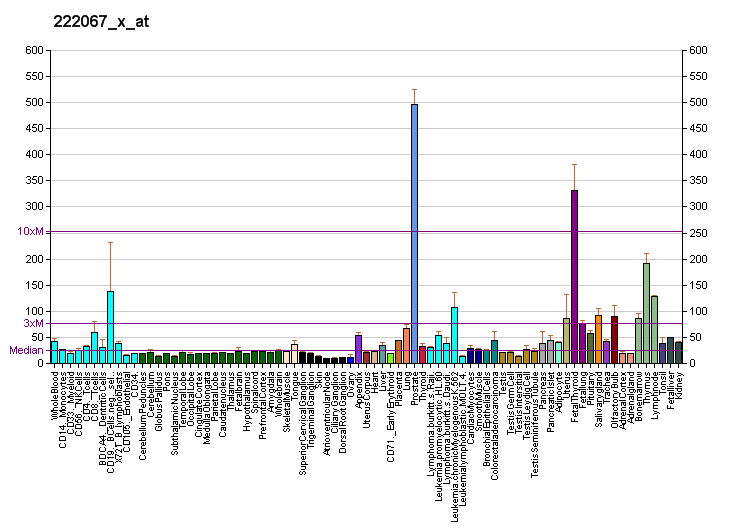 File:PBB GE HIST1H1E 222067 x at fs.png