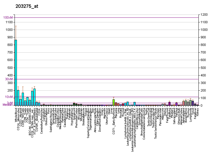 File:PBB GE IRF2 203275 at fs.png