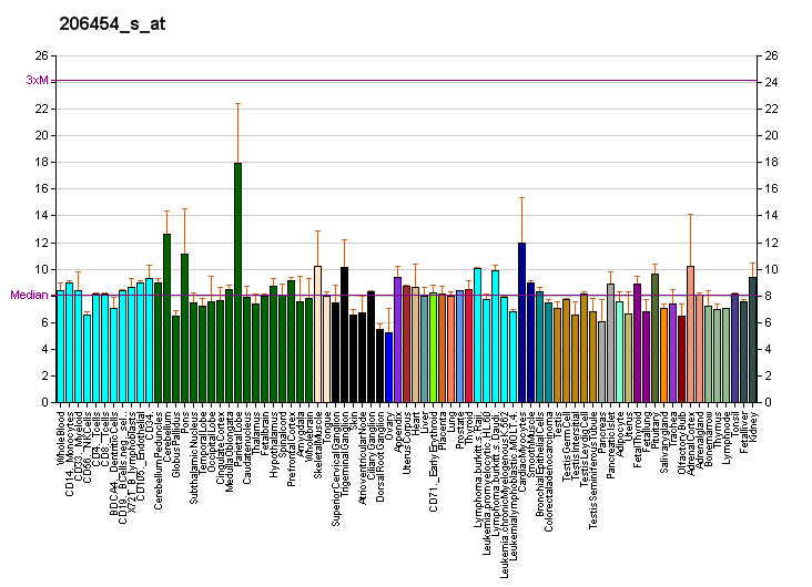 File:PBB GE RHO 206454 s at fs.png