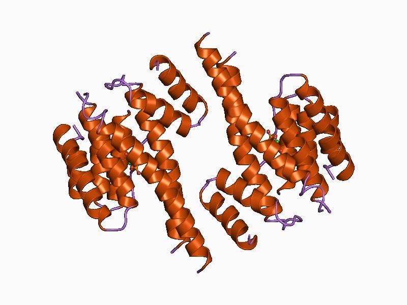 File:PDB 1a37 EBI.jpg