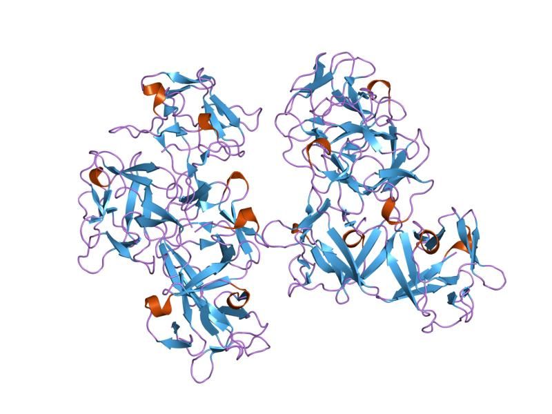 File:PDB 1dfc EBI.jpg