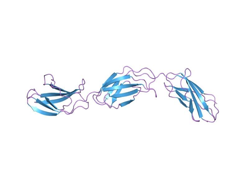 File:PDB 1fnh EBI.jpg