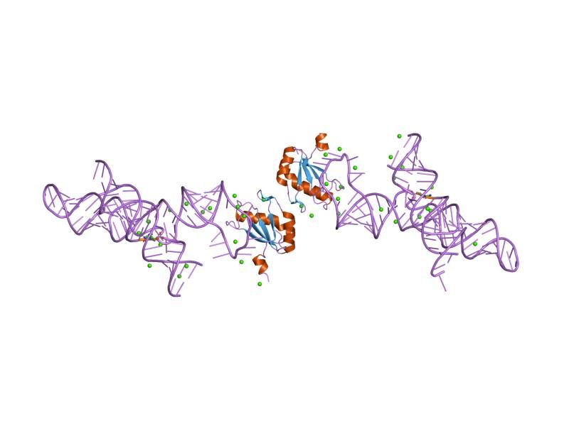 File:PDB 1m5o EBI.jpg