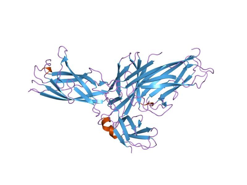 File:PDB 1p5u EBI.jpg