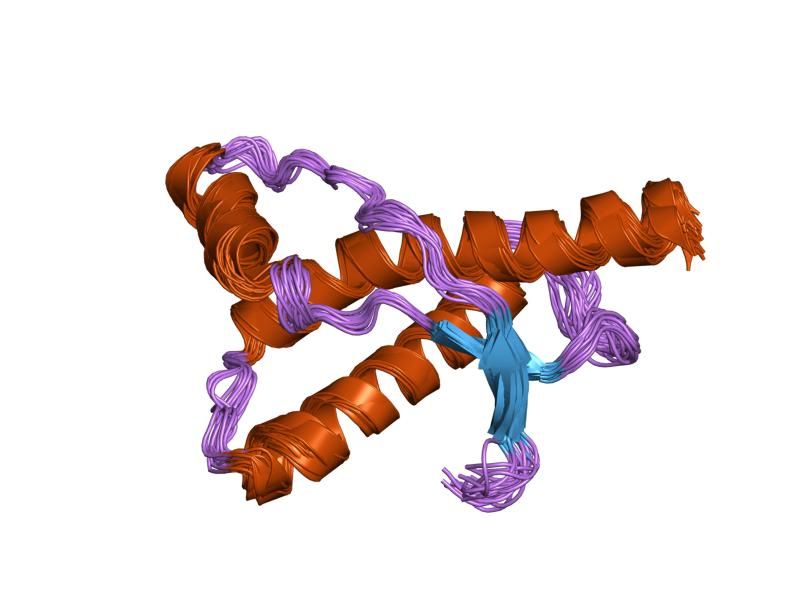 File:PDB 1qm1 EBI.jpg