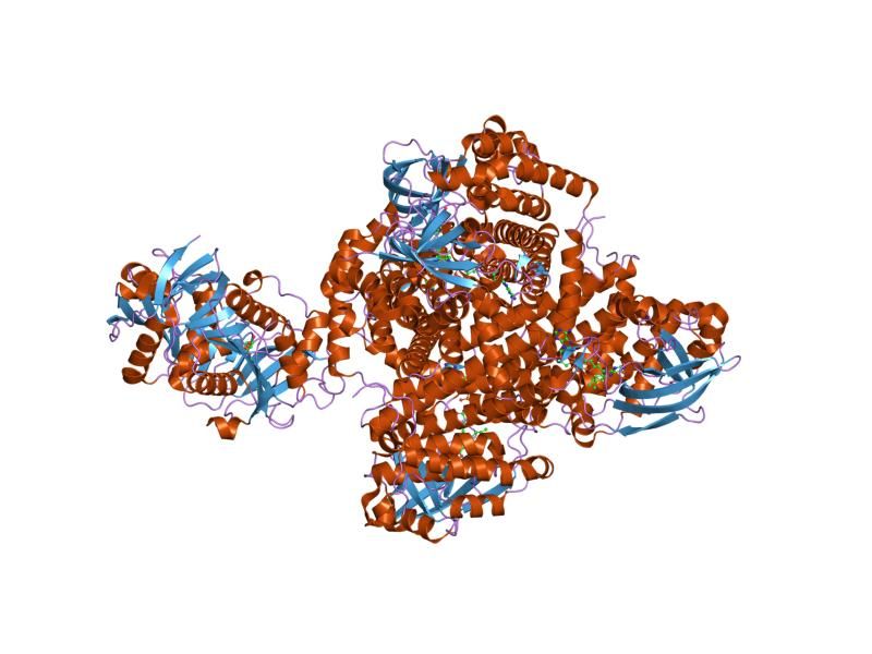 File:PDB 1t9g EBI.jpg