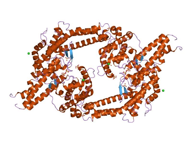 File:PDB 1zro EBI.jpg