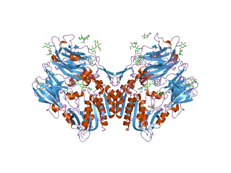 File:PDB 2fjp EBI.jpg