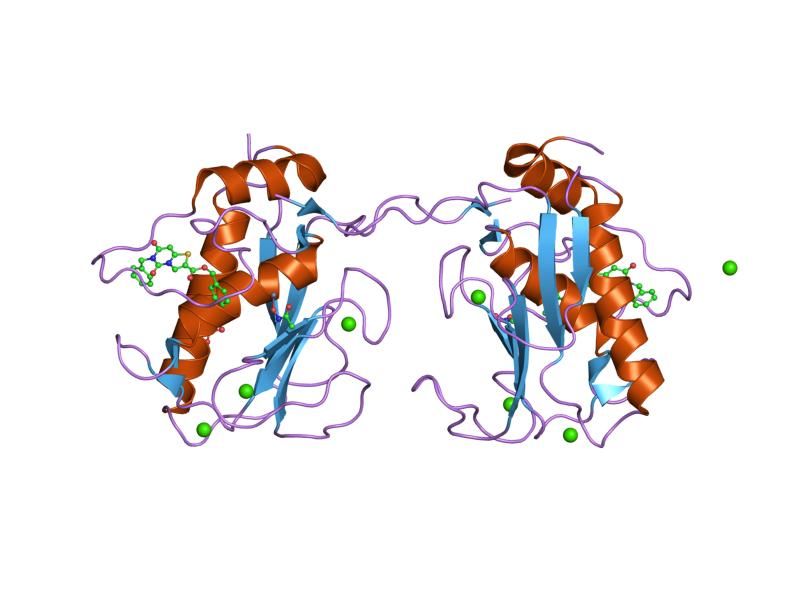 File:PDB 2ow9 EBI.jpg