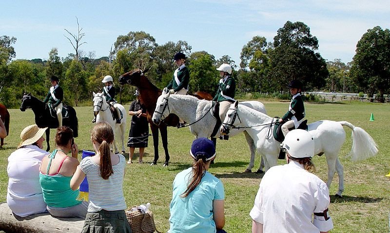 File:Pony Club.jpg