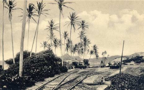 File:Railway tracks of the Barbados Railway.jpg