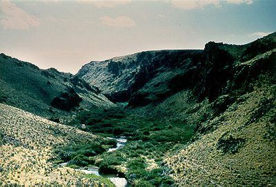 File:Salmon Falls Creek Canyon.jpg