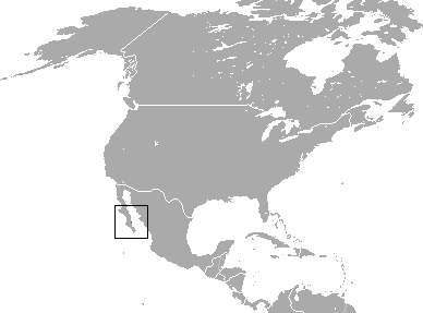 File:San Jose Brush Rabbit area.png