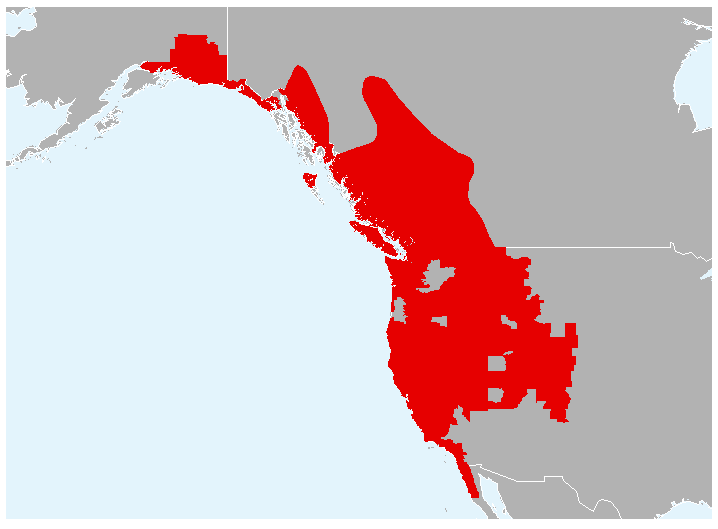 File:Anaxyrus boreas range map.png