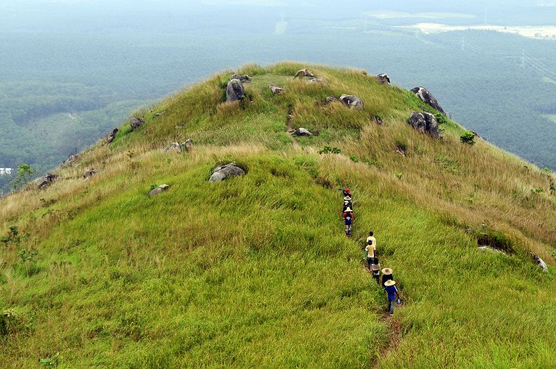 File:Broga Hill.jpg