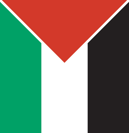 File:C.D. Palestino.png