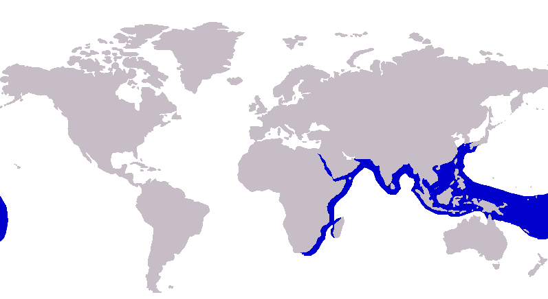 File:Carangoides plagiotaenia distribution.png