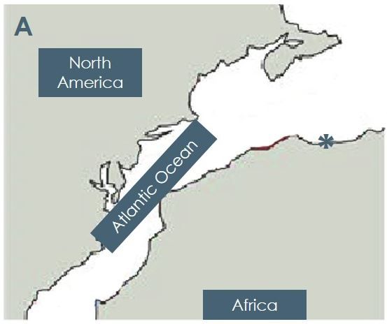 File:Early Triassic rifting of the Atlantic basin.jpg