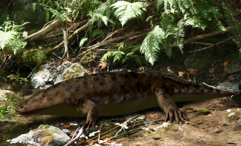 File:Eryops BW.jpg