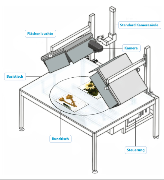 File:Herbar digital workflow.png