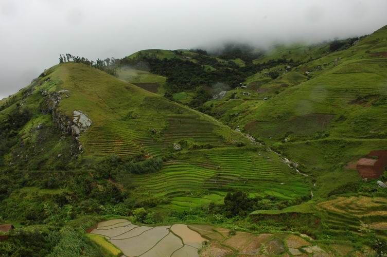 File:Hillside in Andringitra, Madagascar.jpg