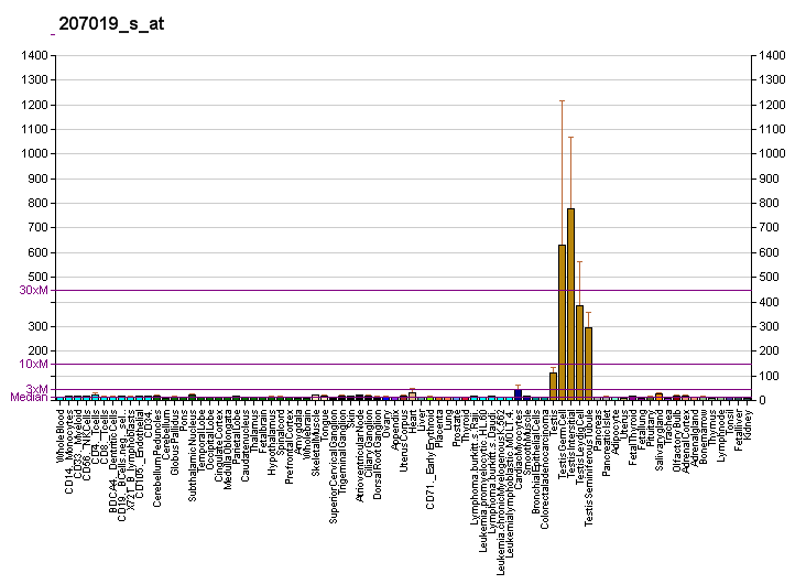 File:PBB GE AKAP4 207019 s at fs.png