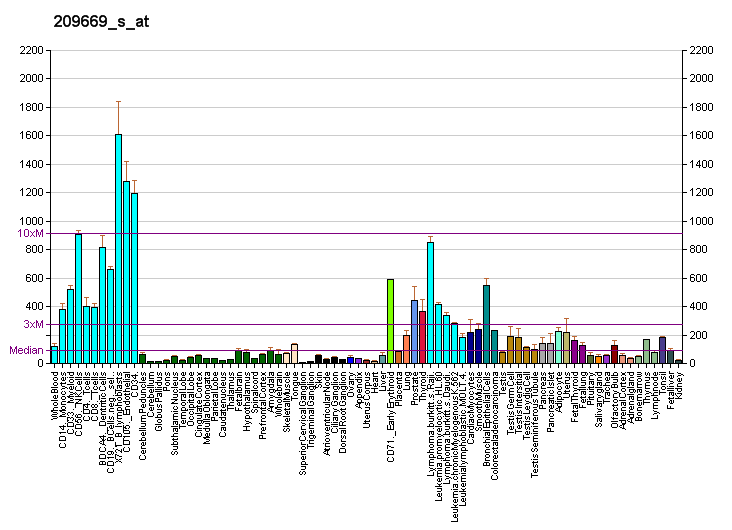 File:PBB GE SERBP1 209669 s at fs.png