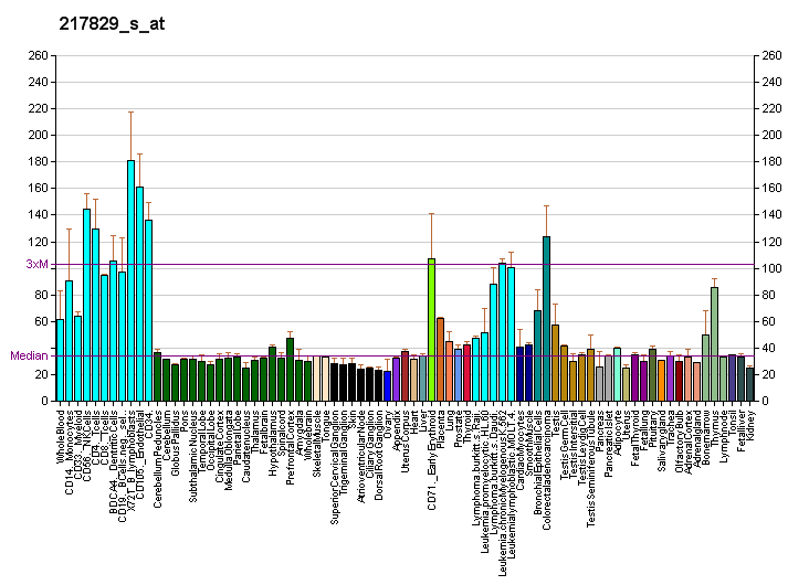 File:PBB GE USP39 217829 s at fs.png