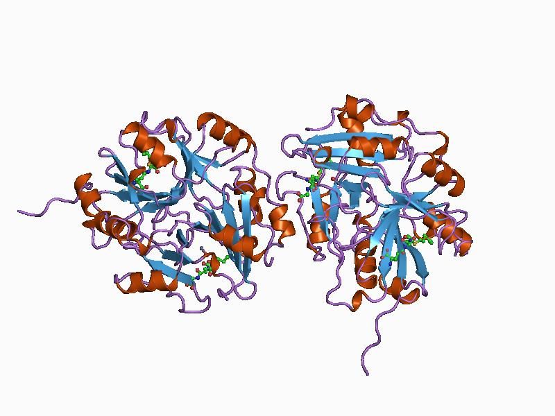 File:PDB 1bh5 EBI.jpg