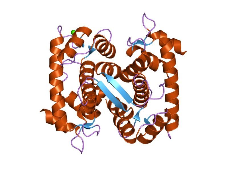 File:PDB 1f4o EBI.jpg