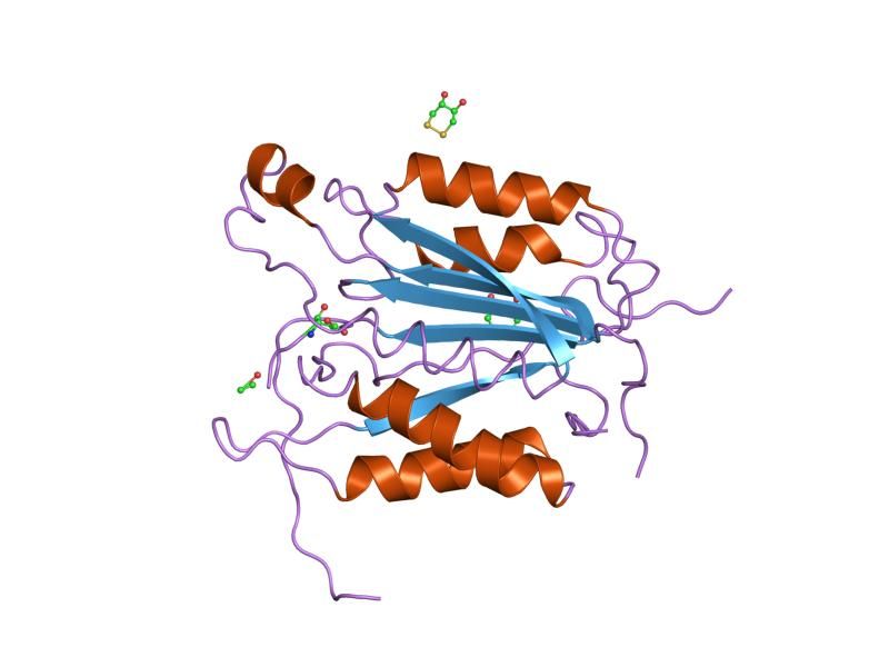 File:PDB 1qtn EBI.jpg