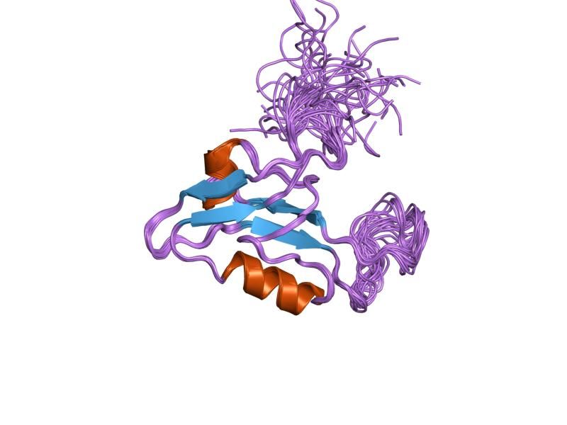 File:PDB 1uju EBI.jpg