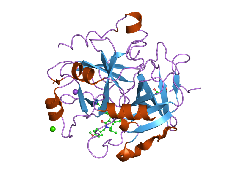 File:PDB 2cf9 EBI.png