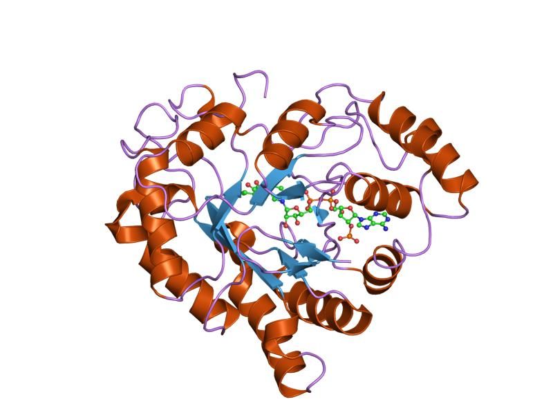 File:PDB 2iq0 EBI.jpg