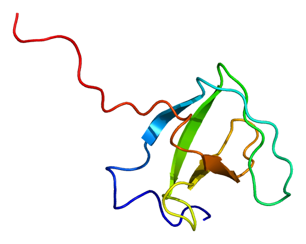 File:Protein FCHSD2 PDB 2dl5.png