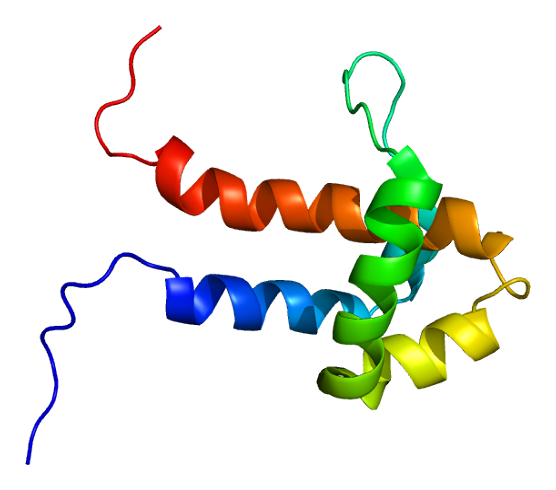 File:Protein SYAP1 PDB 1x3a.png