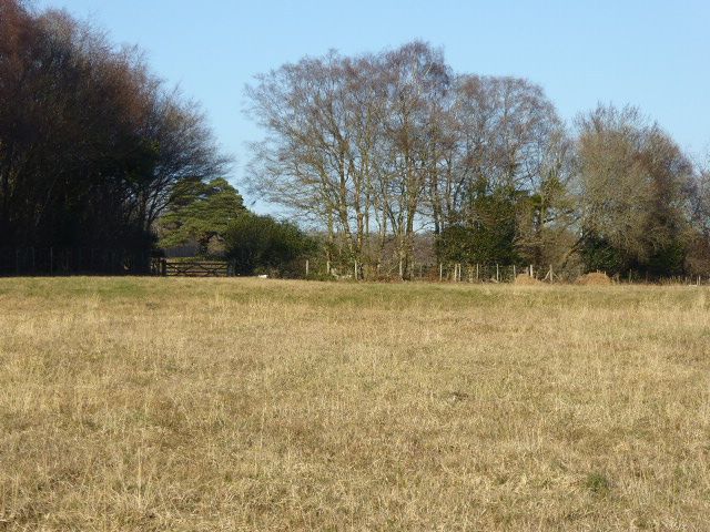 File:St Dunstan's Farm Meadows (3).jpg