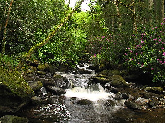 File:Torc Waterfall at Killarney National Park2.jpg