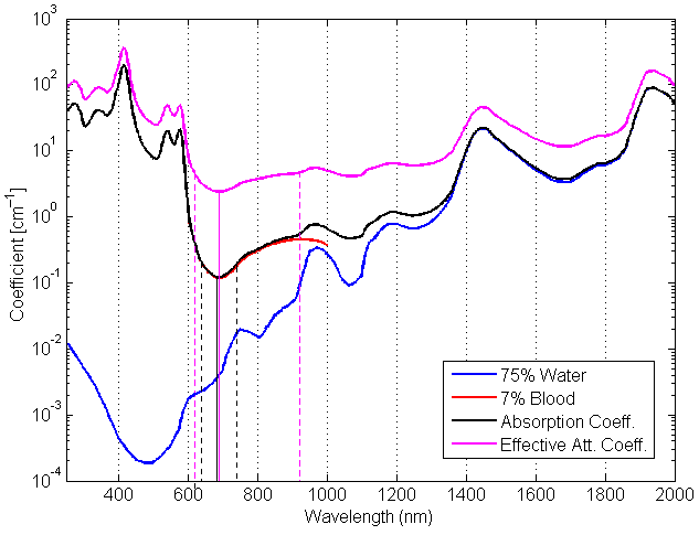 File:Arteries absorption.png